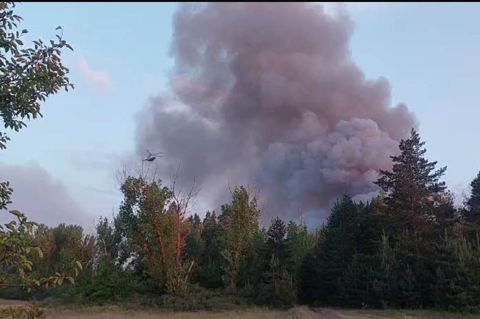 В Тарасовском районе локализован лесной пожар