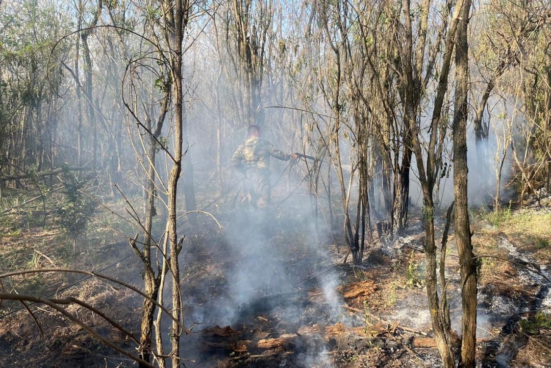 В Тарасовском районе введен режим повышенной готовности